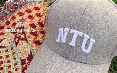 NTU VINTAGE CAP  灰色毛呢